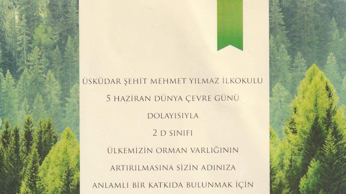 TEMA VAKFI FİDAN BAĞIŞI